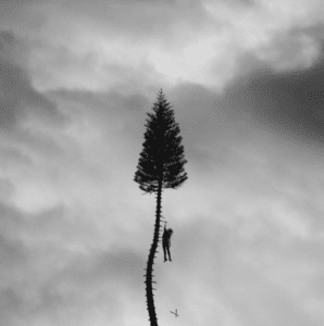 dark mile to the surface - manchester orchestra album cover